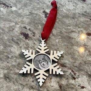 Silver Snowflake Holiday Picture Frame Ornament with Red Ribbon